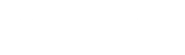 Tidal logo